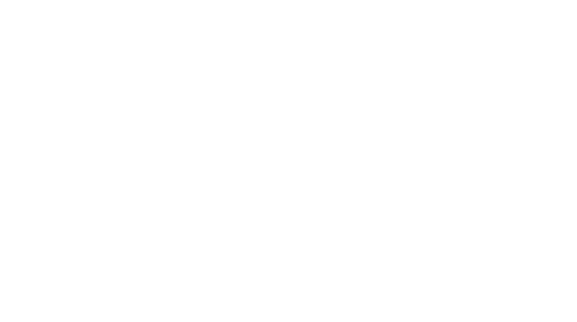 Bad Wolf Photography